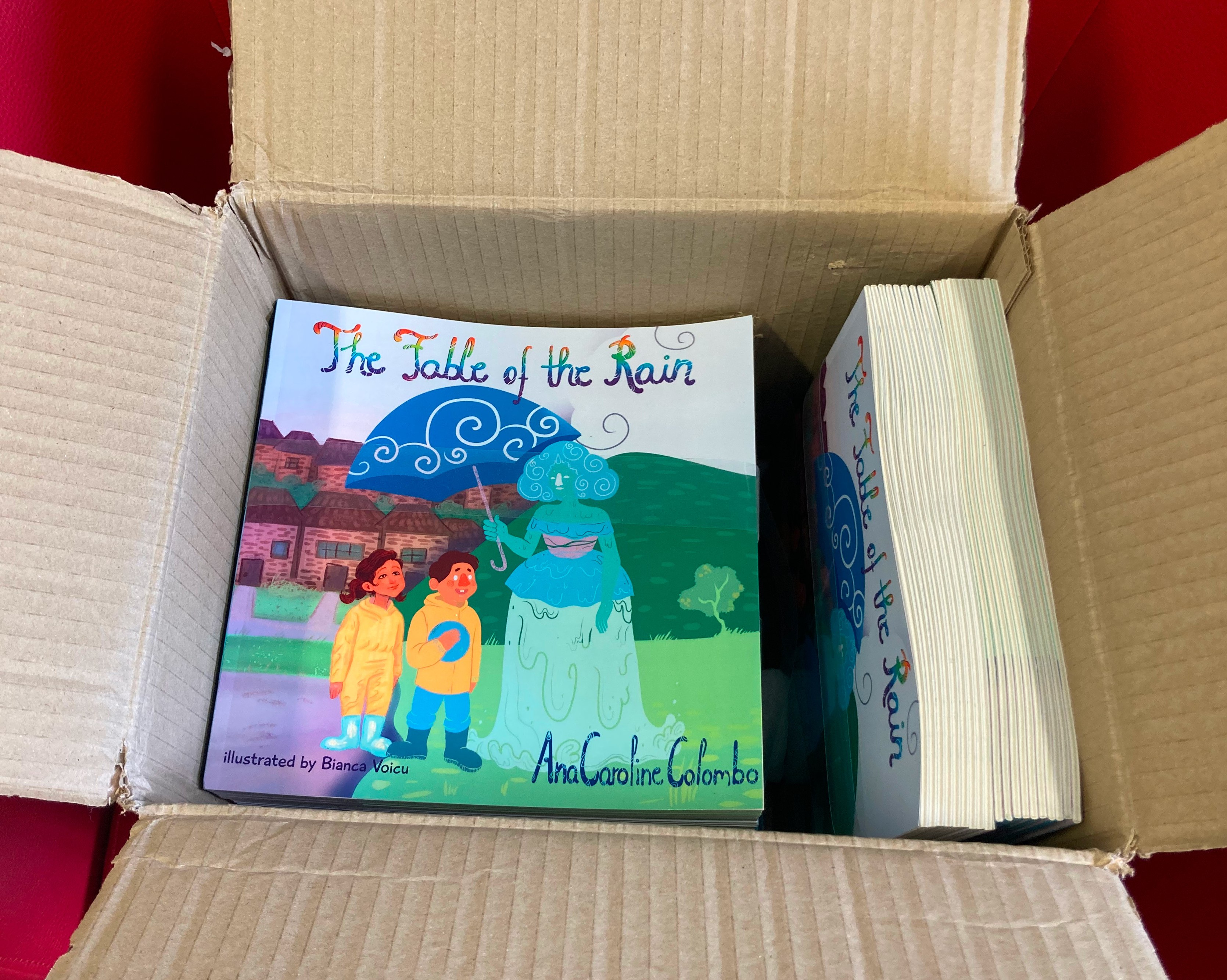 A box with some copies of the book I wrote